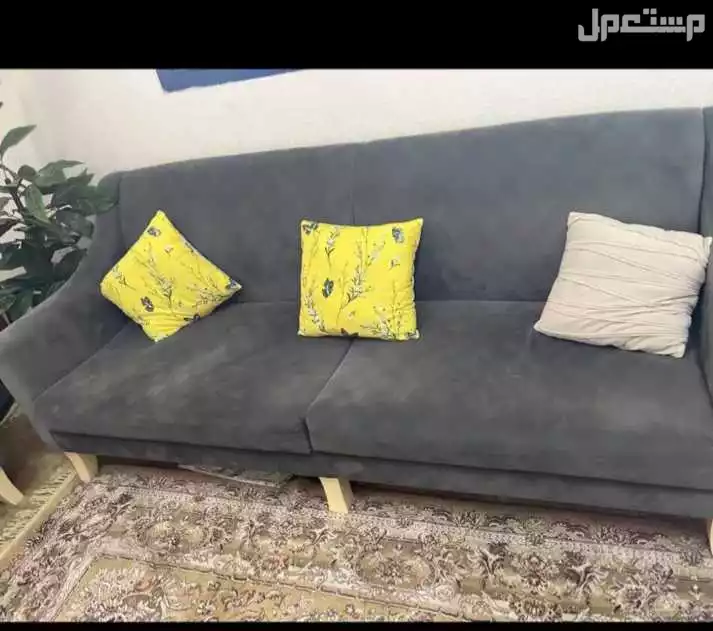 كنب  في الرياض بسعر 350 ريال سعودي