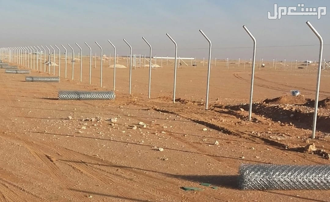 شبوك مضلات هناجرتراث نخل عربي واشنطون واشجار زيتون سدر جميع انواع الأشجار  في الرياض بسعر ألفين ريال سعودي