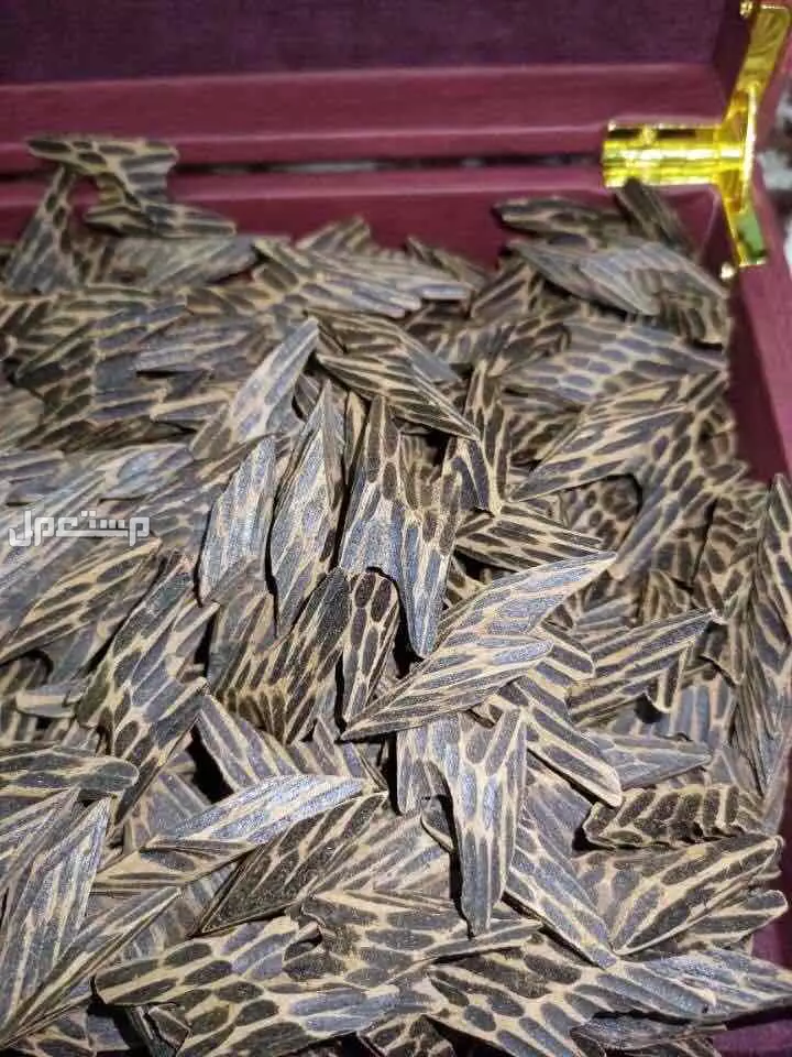 عود تايقر الفيتنامي المشروط الاوقية 50 ريال فقط