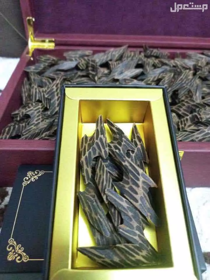 عود تايقر الفيتنامي المشروط الاوقية 50 ريال فقط