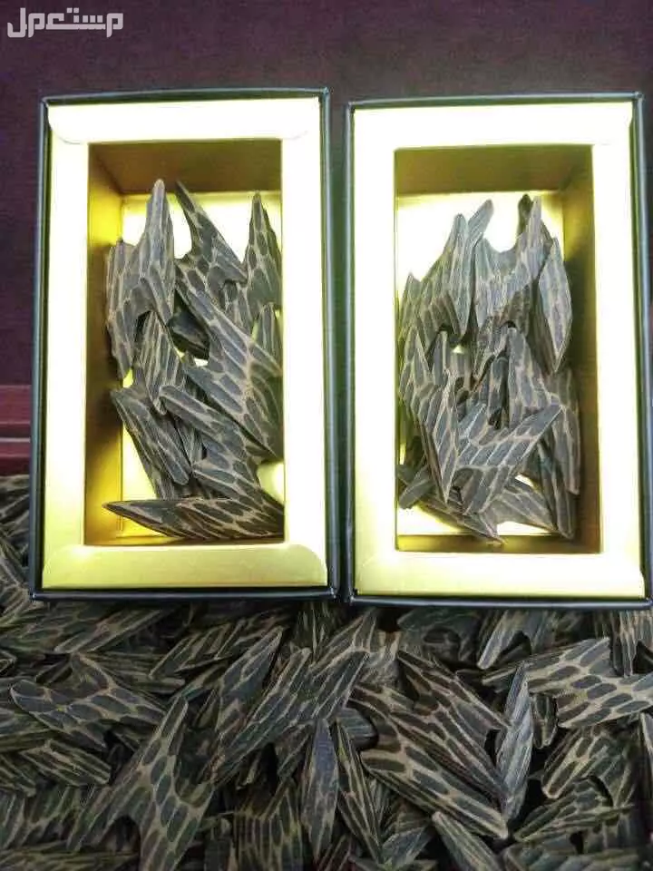 عود تايقر الفيتنامي المشروط الاوقية 50 ريال فقط