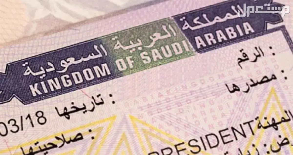 خدمات الزيارات المنتهيه تجاريه او عائليه او تجاريه