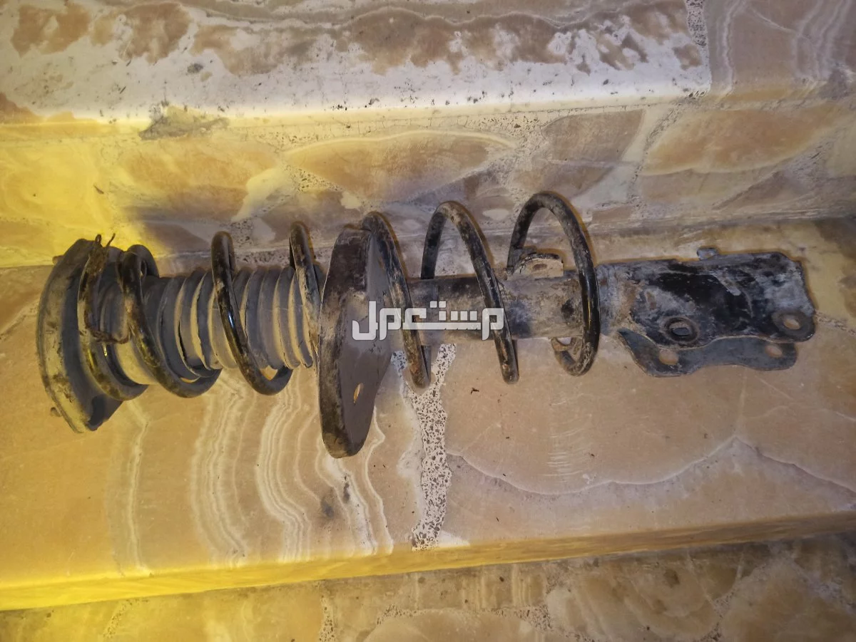في المنصورة بسعر ألف جنيه مصري