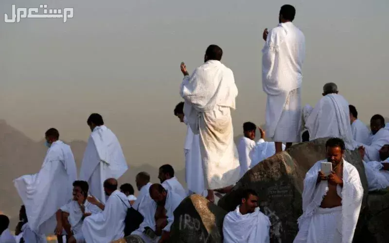 أفضل شركات حجاج الداخل.. 5 مؤسسات معتمدة وموثوقة الوقوف على جبل عرفات