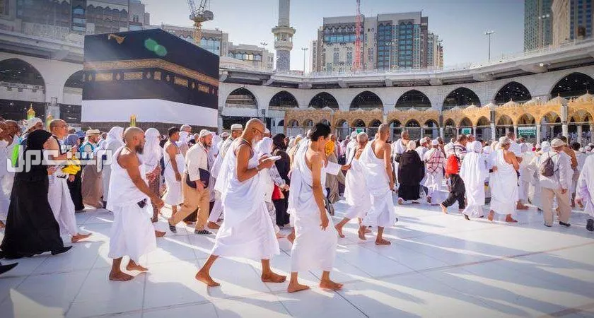 أفضل شركات حجاج الداخل.. 5 مؤسسات معتمدة وموثوقة الحج 2025 - 1446