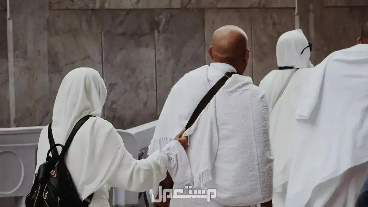 أفضل شركات حجاج الداخل.. 5 مؤسسات معتمدة وموثوقة أفضل شركات حجاج الداخل