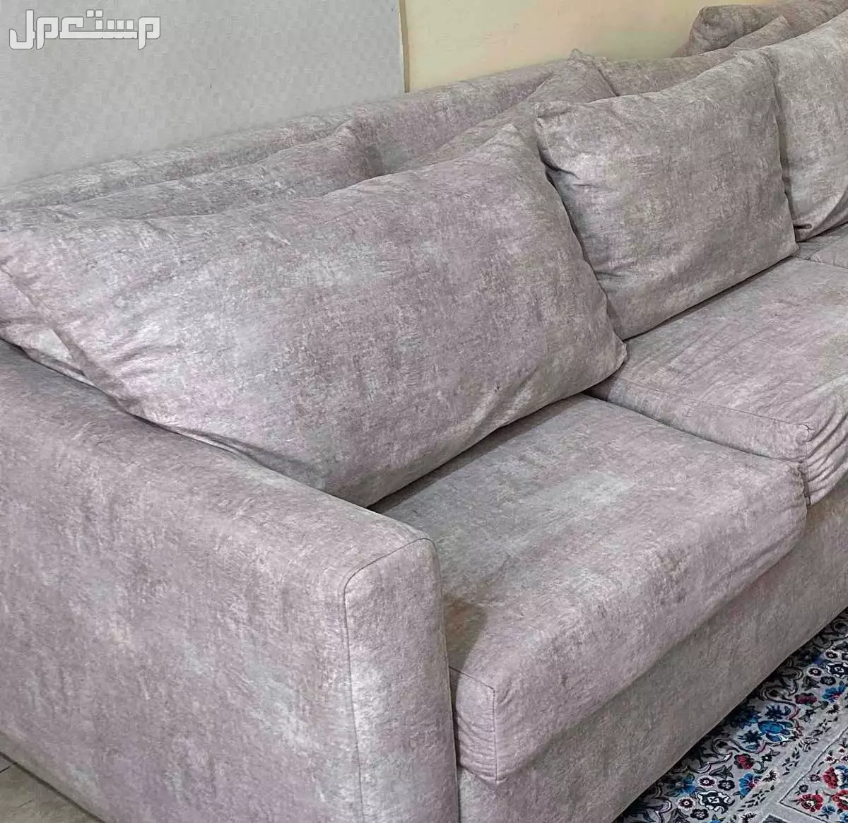 كن في جيزان بسعر ألف ريال سعودي