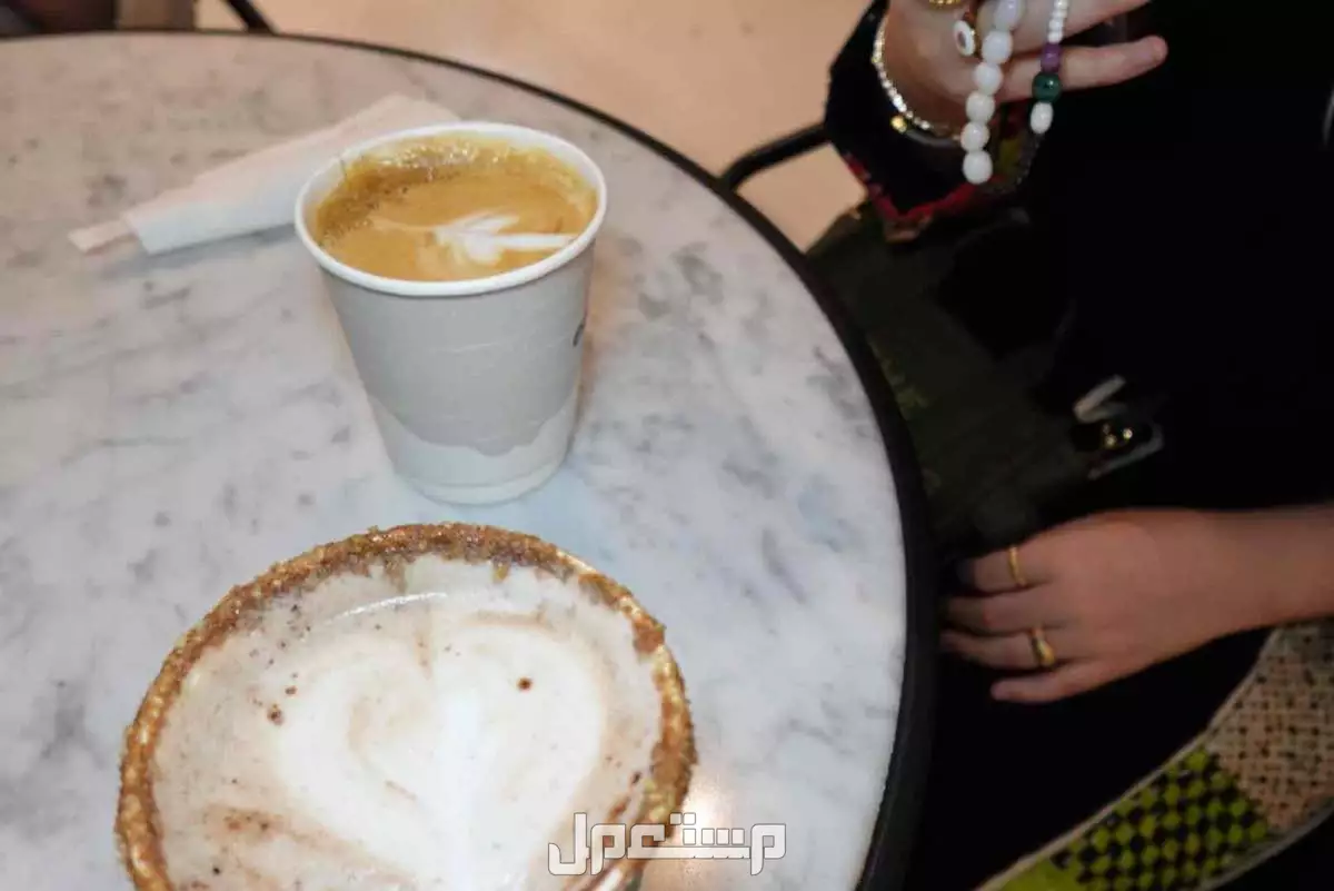 كاميرا zv1f في المدينة المنورة بسعر 2400 ريال سعودي