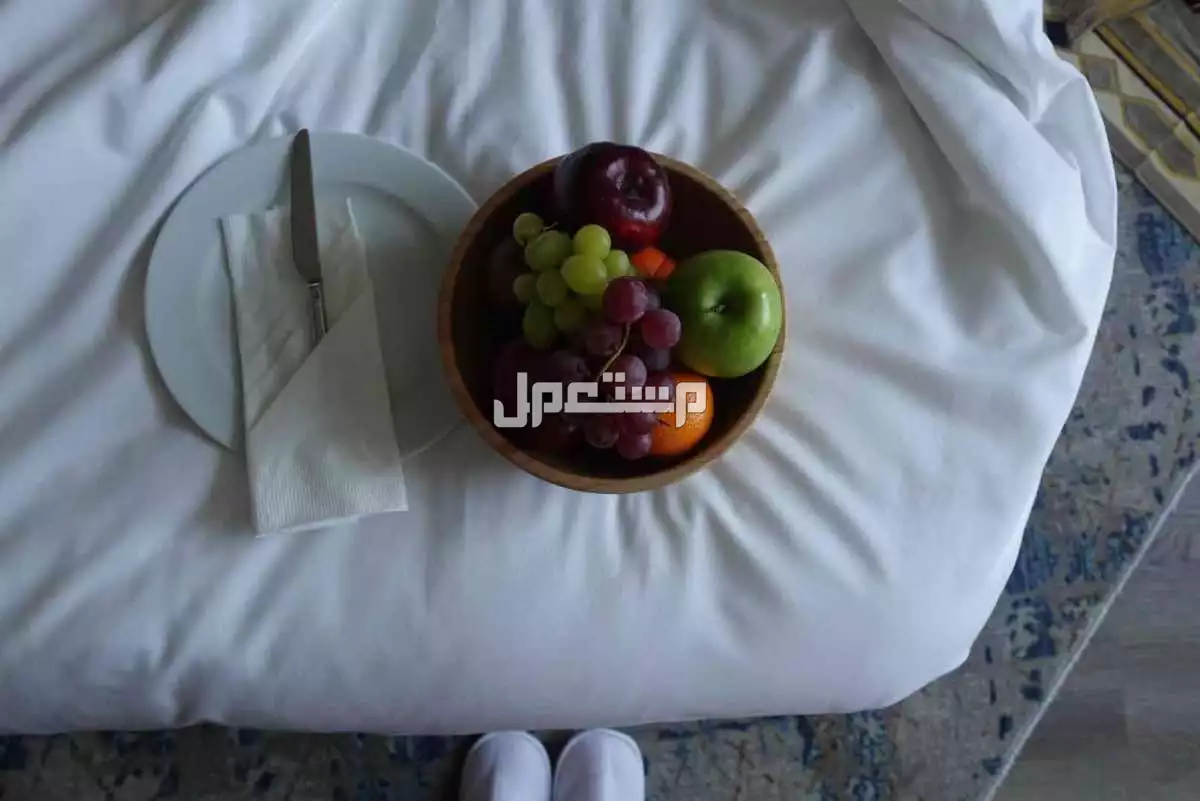 كاميرا zv1f في المدينة المنورة بسعر 2400 ريال سعودي