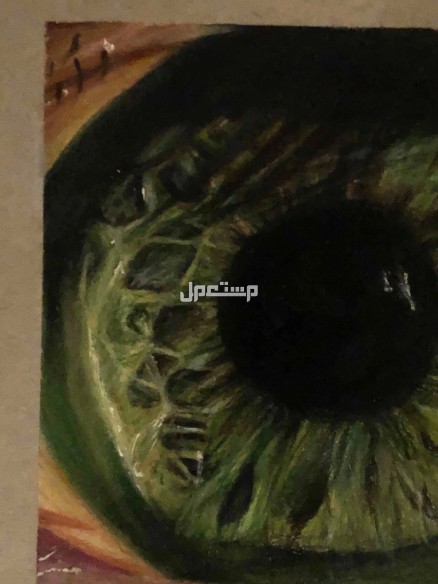 رسمة عين على ورق A5 مقاس الرسمة 10*10 في بيشة بسعر 80 ريال سعودي