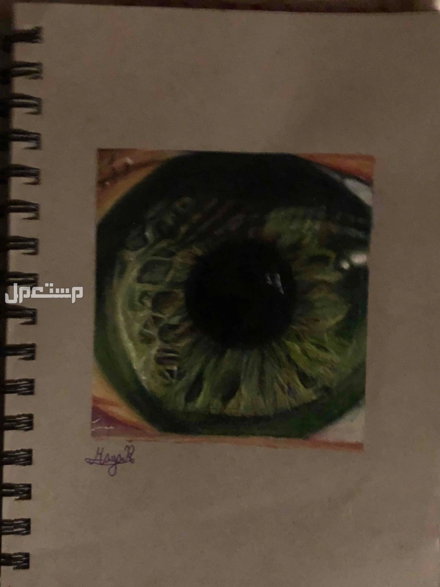 رسمة عين على ورق A5 مقاس الرسمة 10*10 في بيشة بسعر 80 ريال سعودي