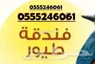 فندقة طيور وقطط  وقت اجازتكم - الرياض