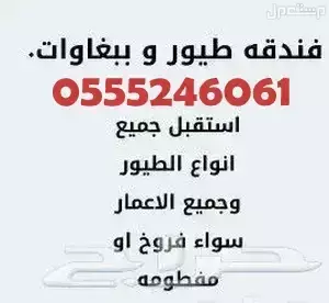 فندقة طيور وقطط  وقت اجازتكم - الرياض