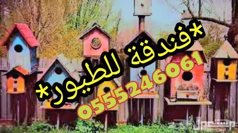 فندقة طيور وقطط  وقت اجازتكم - الرياض