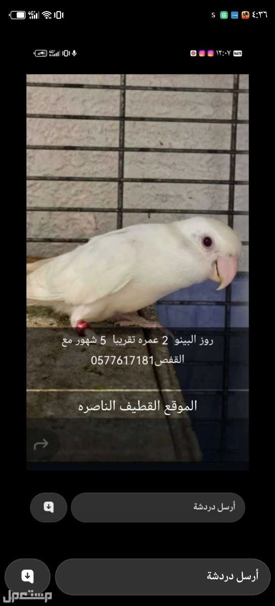 القطيف  في القطيف بسعر 300 ريال سعودي