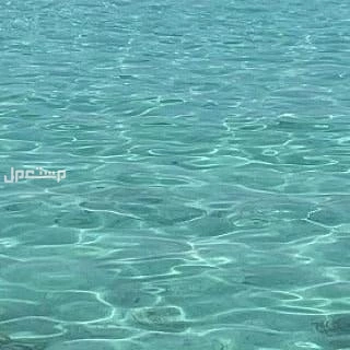 رحلات جزيره بياضه شباب وعوايل جده ابحر مرسي الأحلام