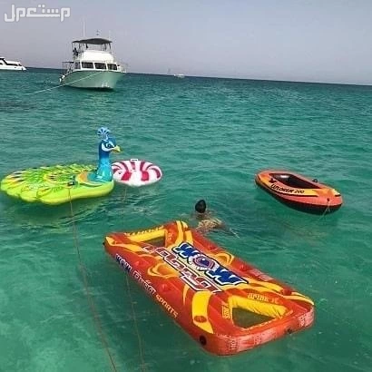 رحلات جزيره بياضه شباب وعوايل جده ابحر مرسي الأحلام