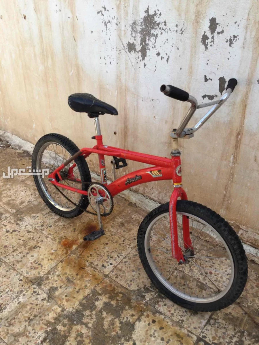 في المدينة المنورة بسعر 60 ريال سعودي