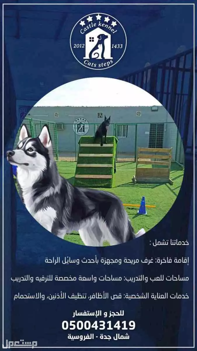فندقة وتدريب كلاب بأسعار قوية ومنافسة