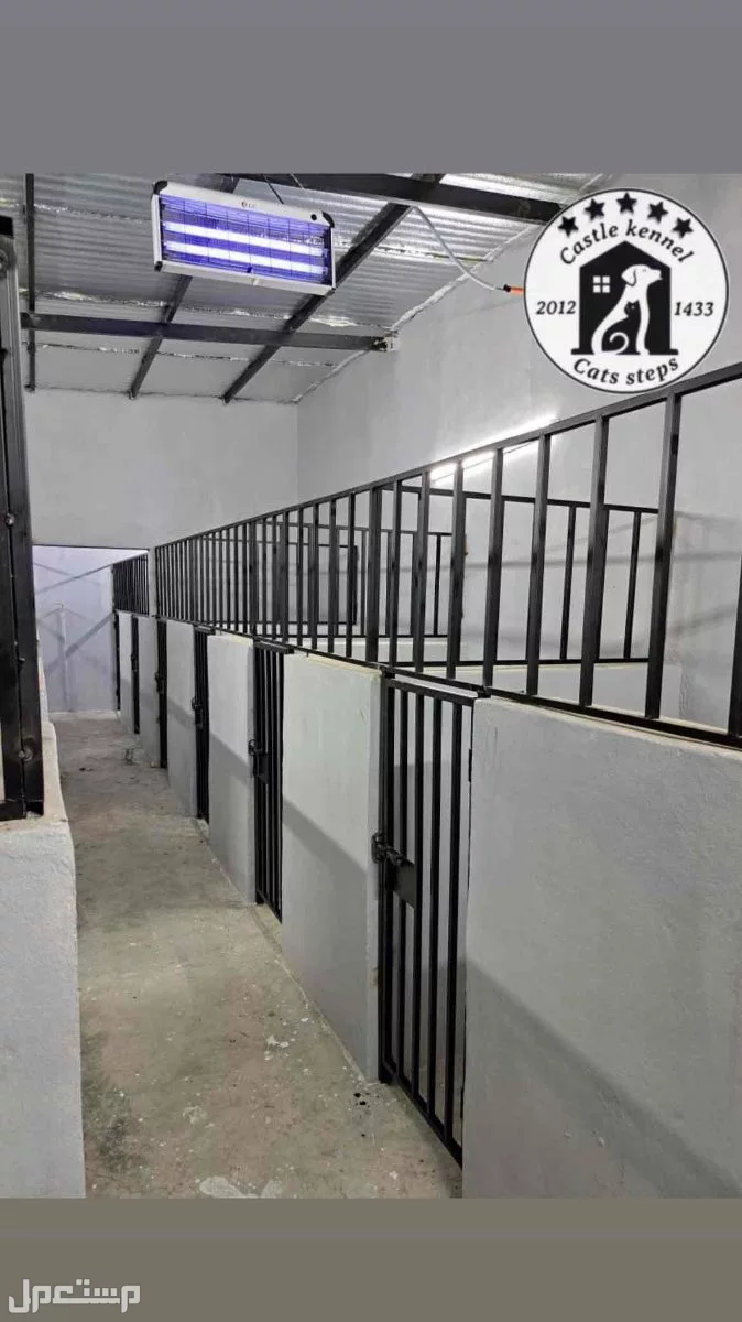 فندقة وتدريب كلاب بأسعار قوية ومنافسة