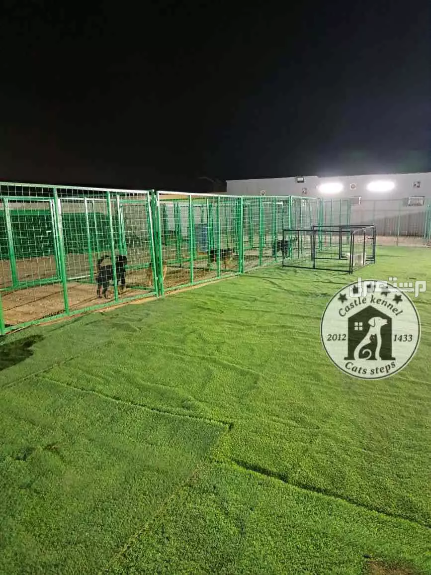 فندقة وتدريب كلاب بأسعار قوية ومنافسة