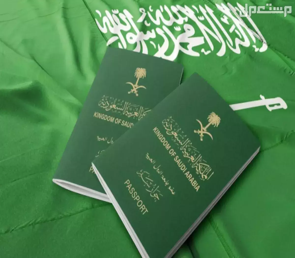 كيفية الحصول على فيزا الزيارة للسعودية بعد الحج 1447 التقديم على فيزا الزيارة للسعودية بعد الحج