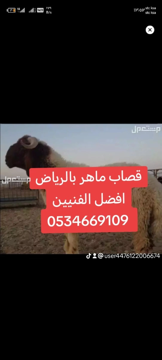 قصاب ماهر حي طويق حي ظهرة نمار حي ظهرة البديعة حي هجرة لبن حي ضاحية لبن حي لبن حي السويدي حي الزهراء حي العريحاء حي الحزم حي الشفا حي بدر حي عكاظ حي احد حي المروه حي الفواز 0534669109