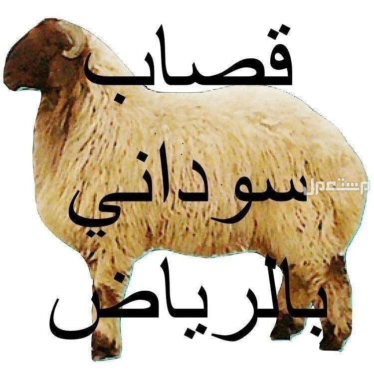 قصاب سوداني ماهر بالرياض حي الشفاء