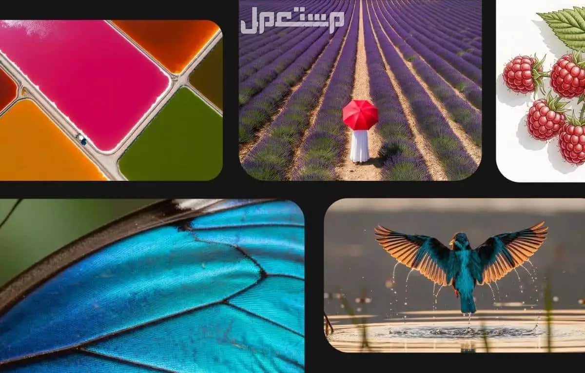 أشهر مشاكل Veo 3 من جوجل وحلها.. دليلك لاستخدامه مجانًا (فيديو) استخدام Veo 3 من Google مجانًا