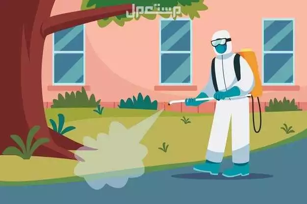 شركة مكافحة حشرات بالمدينة المنورة مكافحة الحشرات والصراصير