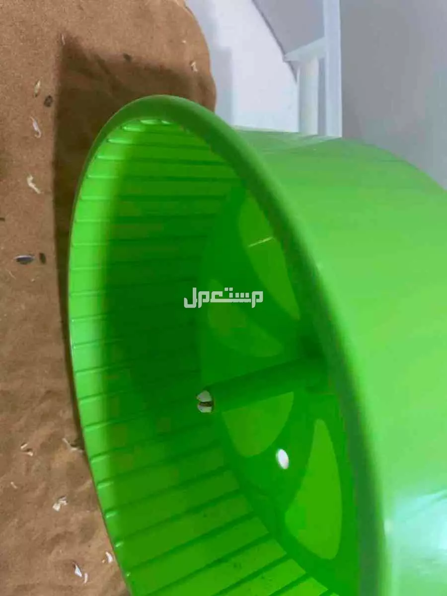 هامسترات مع اغراضهم كاااملة والطعام للبيع في جدة في جدة بسعر 200 ريال سعودي