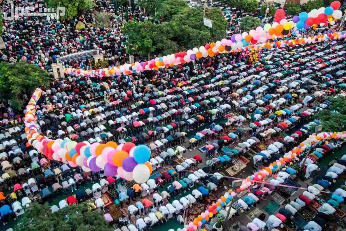 أجمل أغاني وأناشيد عيد الأضحى 2025 للأطفال والكبار مكتوبة صلاة العيد في مصر
