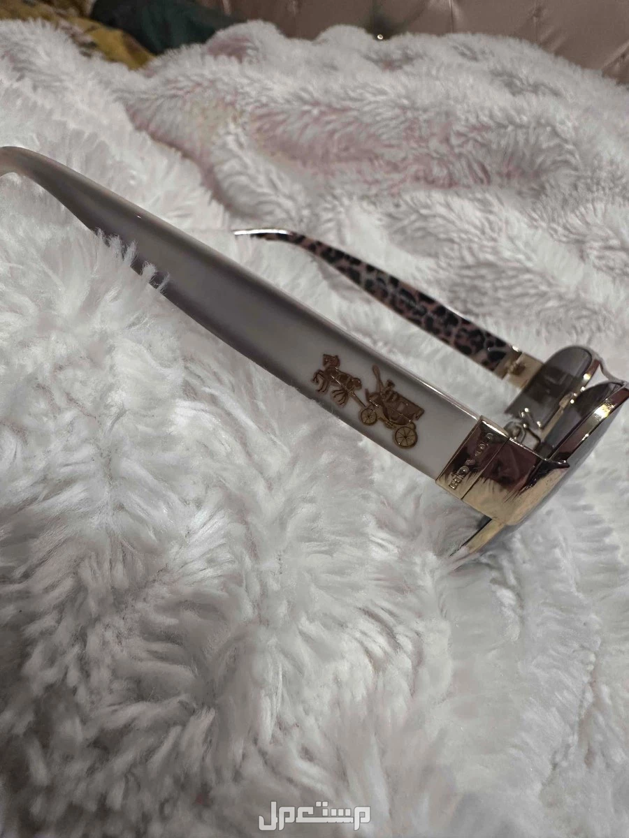 نظارات أصليه للبيع  في جدة بسعر 300 ريال سعودي كوتش