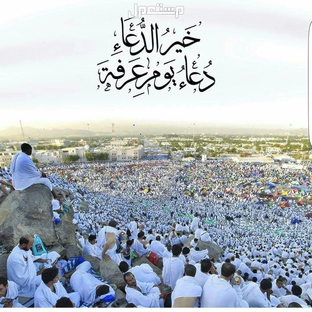 جدول أعمال يوم عرفة للحاج 1446.. أفضل الأدعية والطاعات دعاء يوم عرفة 1446