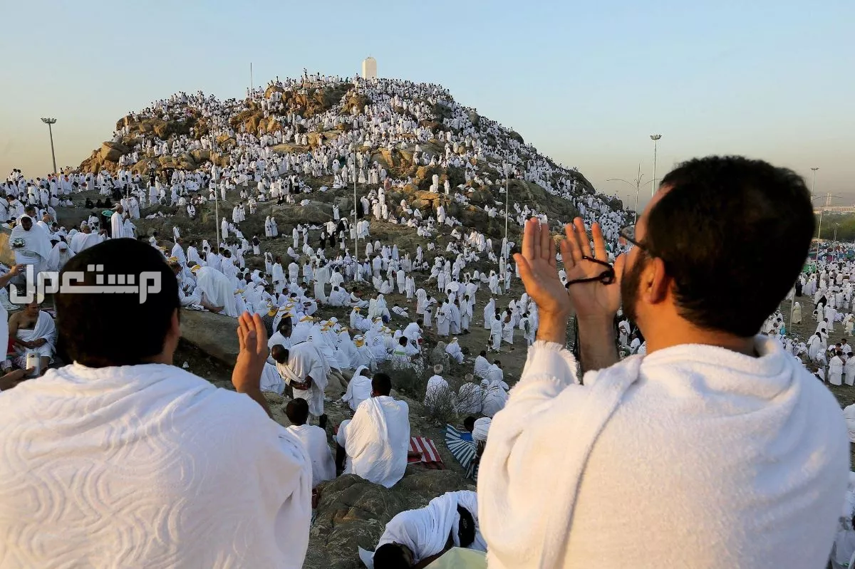جدول أعمال يوم عرفة للحاج 1446.. أفضل الأدعية والطاعات أفضل دعاء في يوم عرفة للحاج 2025
