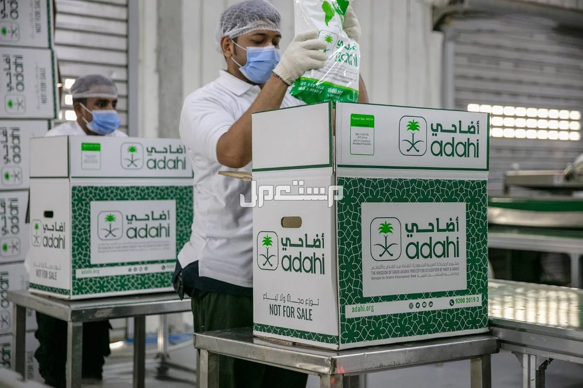 أماكن دفع الهدي في مكة 2025.. وسعر صك الأضحية حج 1446 ما حكم من لم يذبح الهدي في الحج