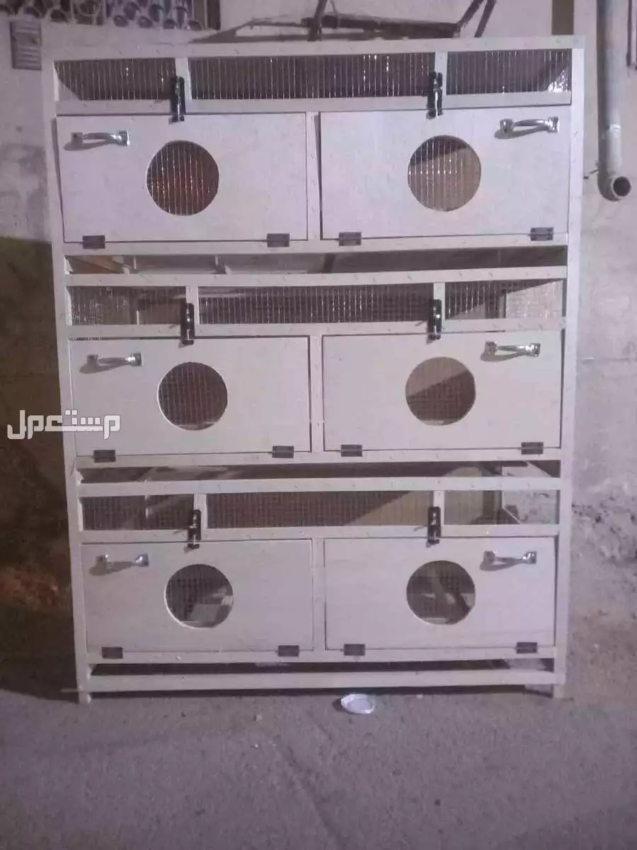 حضانات جديده لصوص الدواجن 450 ريال