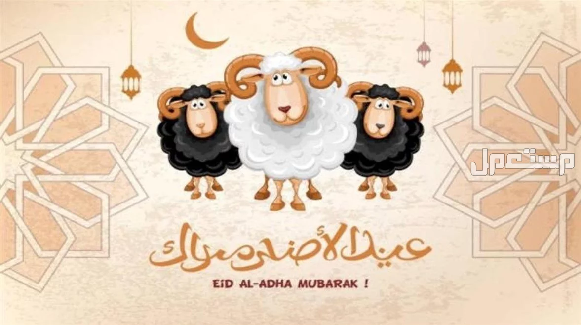 تهنئة عيد الأضحى رسمية بالاسم للزملاء والزميلات صورة بها ثلاث أغنام ومكتوب بالأسفل عيد الأضحى المبارك