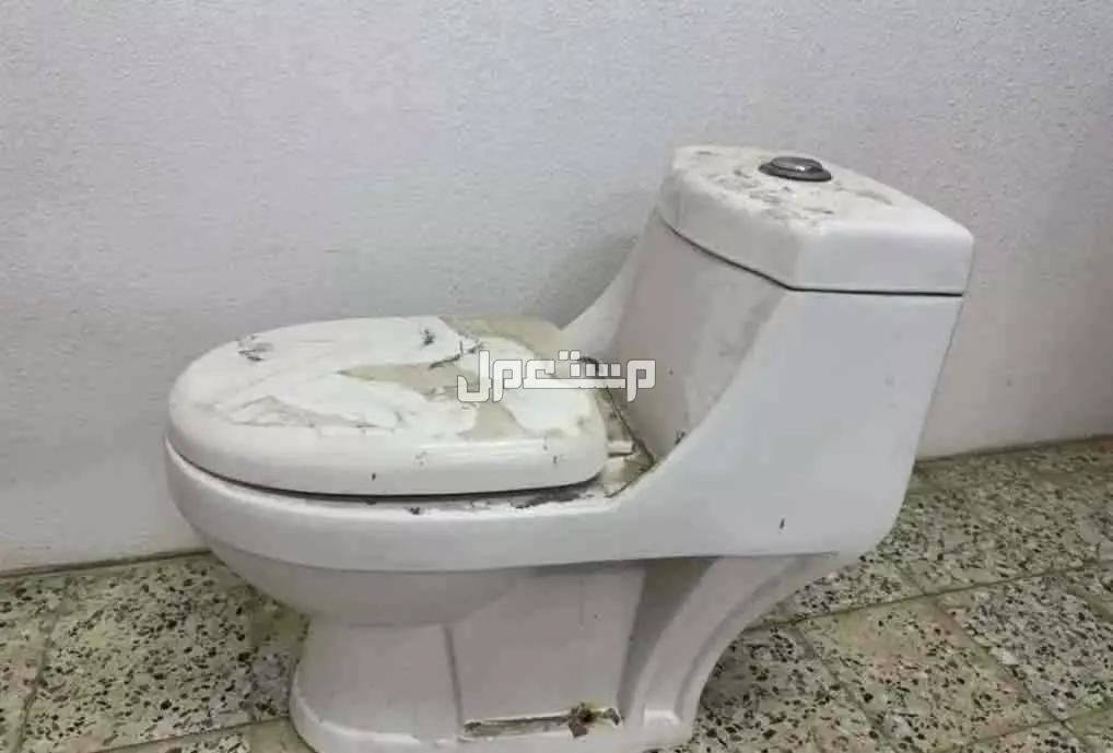 كرسي مرحاض  ابها لايجي الا الصامل ........................................................................................
