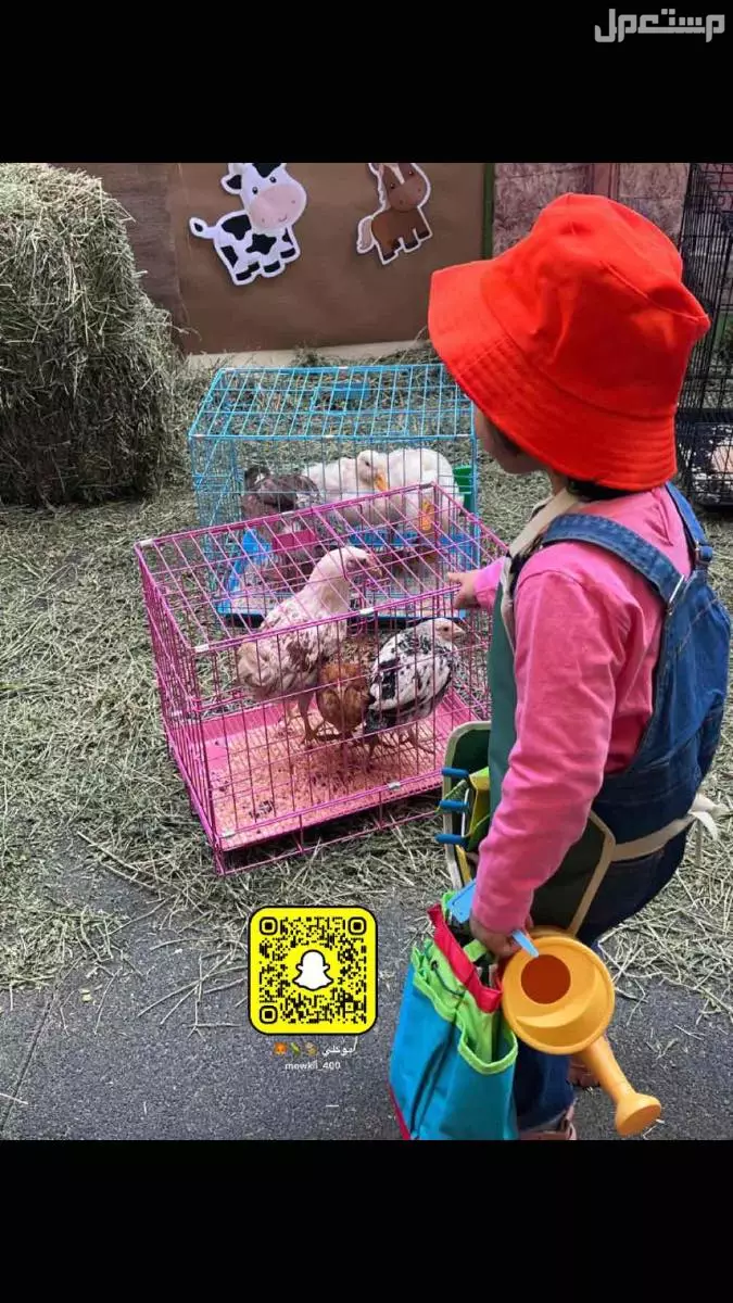 فعاليات مهرجين ايجار حيوانات رسم على الوجهه تصوير