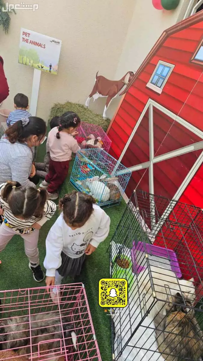 فعاليات مهرجين ايجار حيوانات رسم على الوجهه تصوير