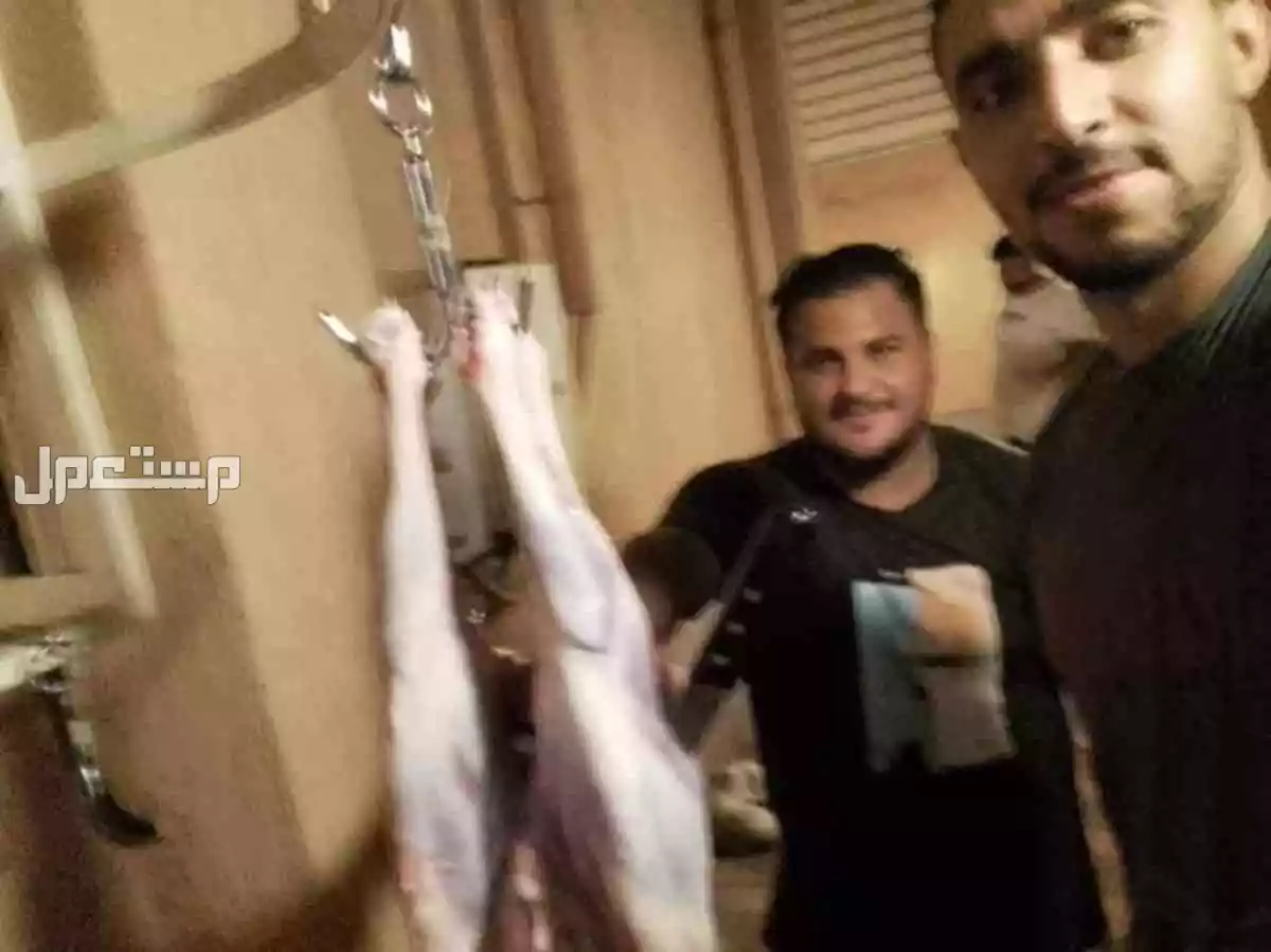 ذبح اضاحي العيد في مكة المكرمة بسعر 150 ريال سعودي