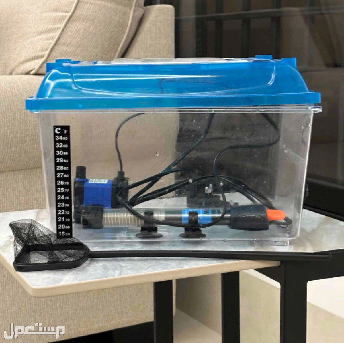 حوض سمك سليم ونظيف 21 في 31 في الرياض بسعر 129 ريال سعودي