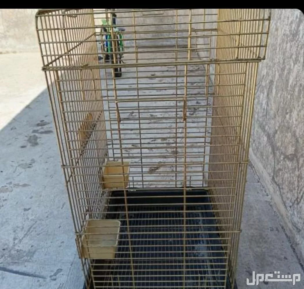 فقص ببغاء كبير حديد نضيف للبيع