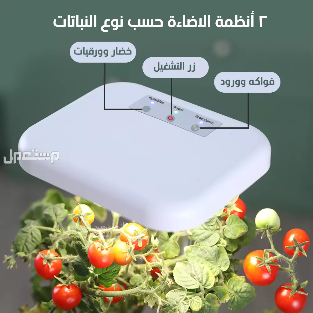 جهاز زراعة منزلي مائي صغير حجم مكتبي