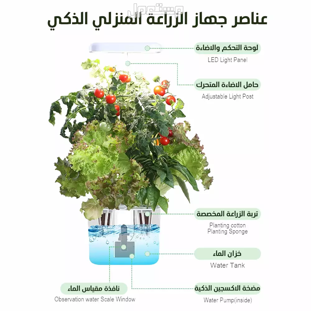 جهاز زراعة منزلي مائي صغير حجم مكتبي