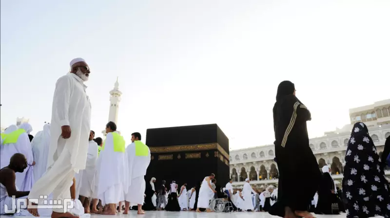 تقويم موسم العمرة 1447.. جدول شامل ومواسم الذروة تفاصيل موسم العمرة