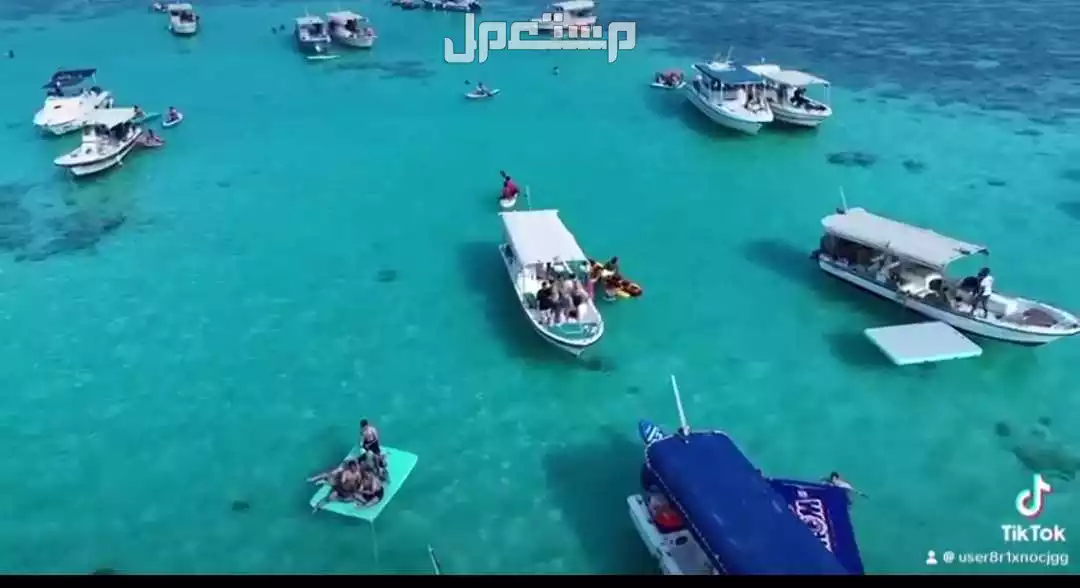 رحلات جزيرة بياضة رحلات صيد في جدة مجاناً للمحتاج