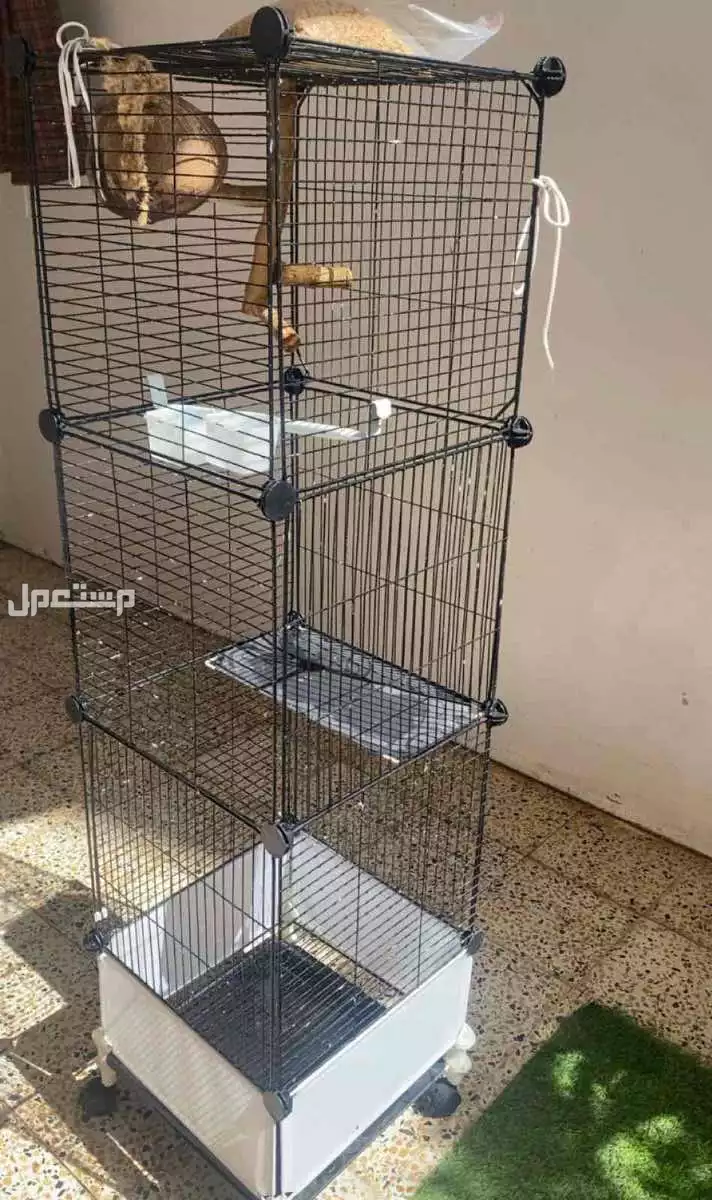 قفص طيور كبير بسعر 65 ريال في بيشة بسعر 65 ريال سعودي