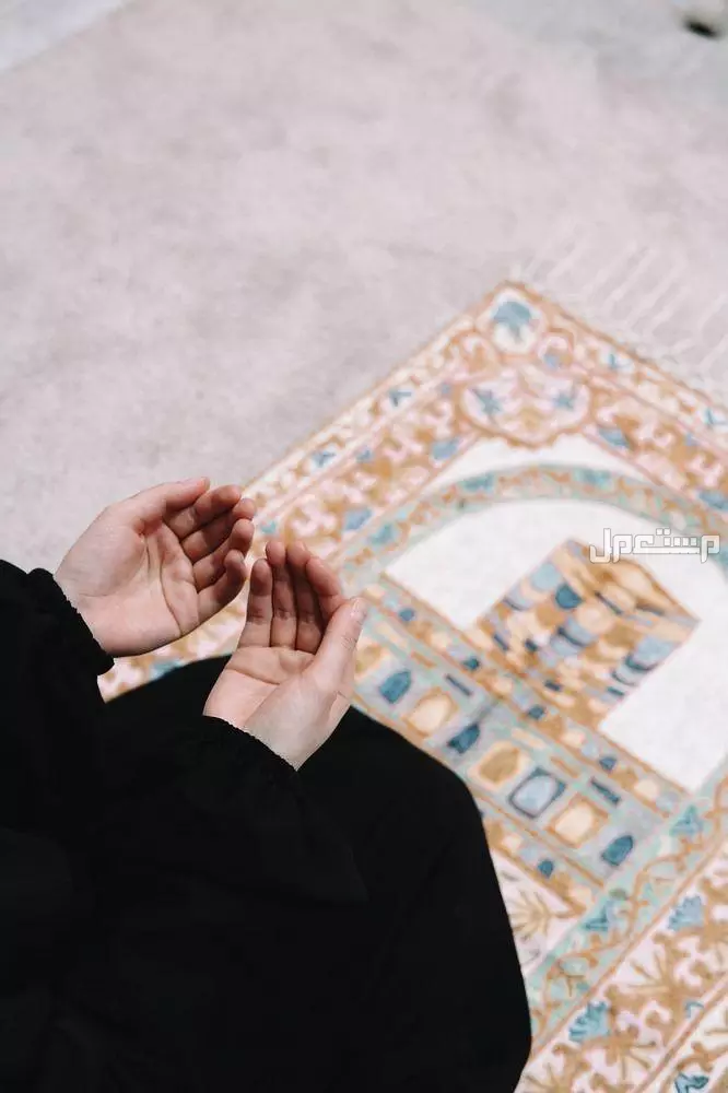 ما هو دعاء ركوب السيارة؟ تعرف على الفضل والصيغة الصحيحة